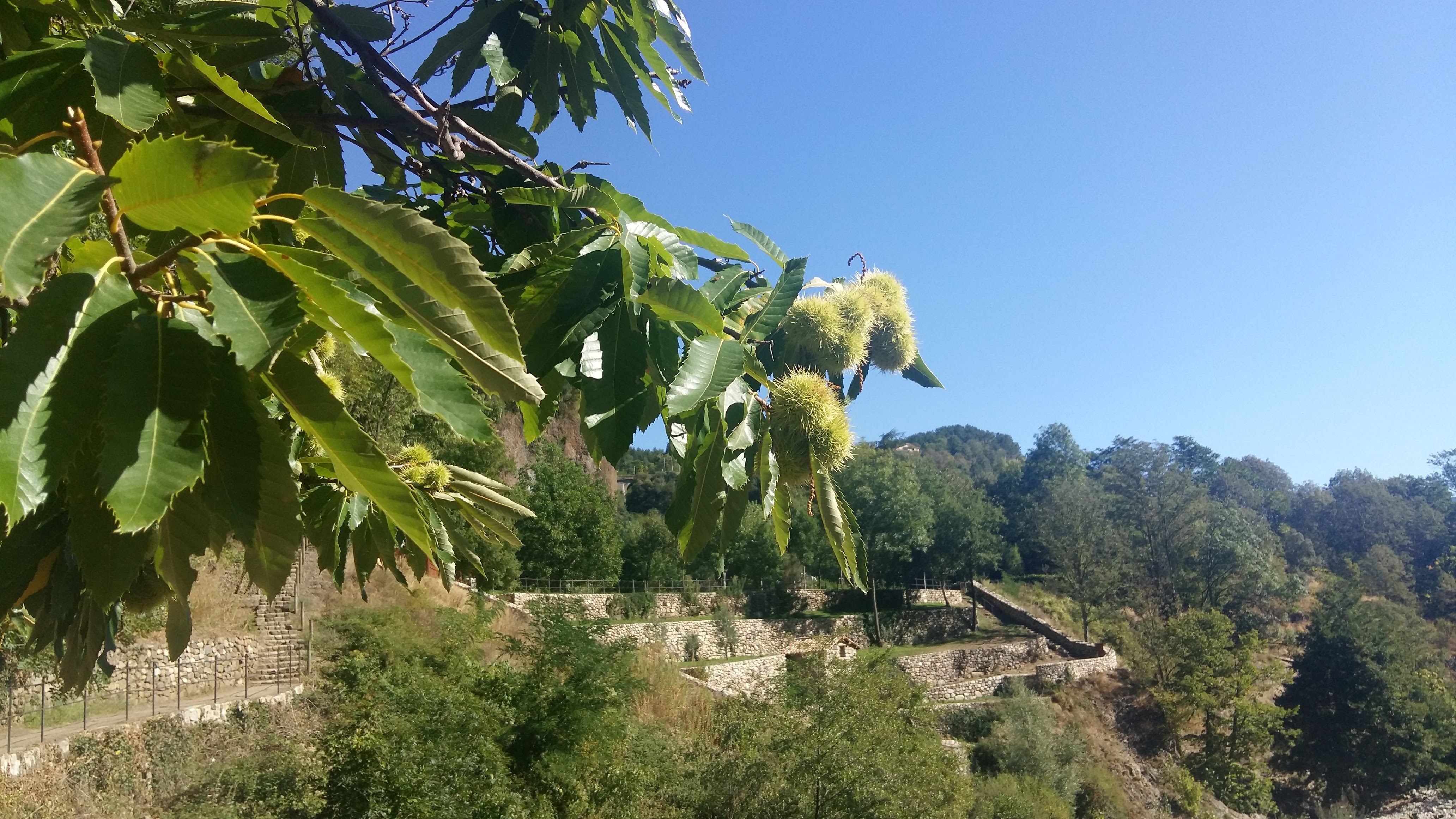 Photo n° 10 de l'avis de stephan.a fait le 14/09/2019 à 08:57