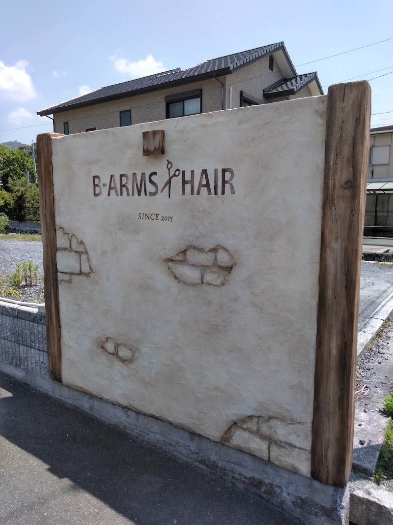 B-ARMS HAIR