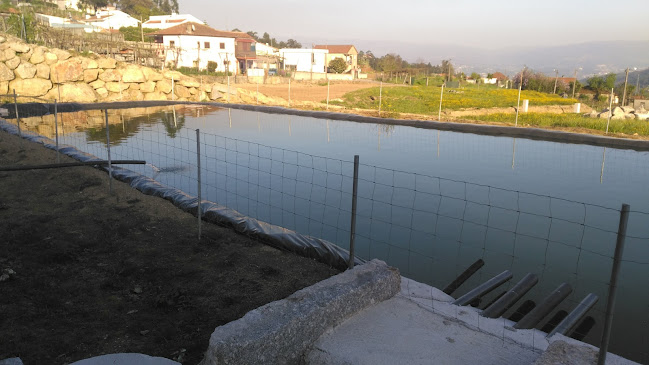 Nascente Flôr - Produtos Hortícolas E Florícolas, Lda. - Paços de Ferreira