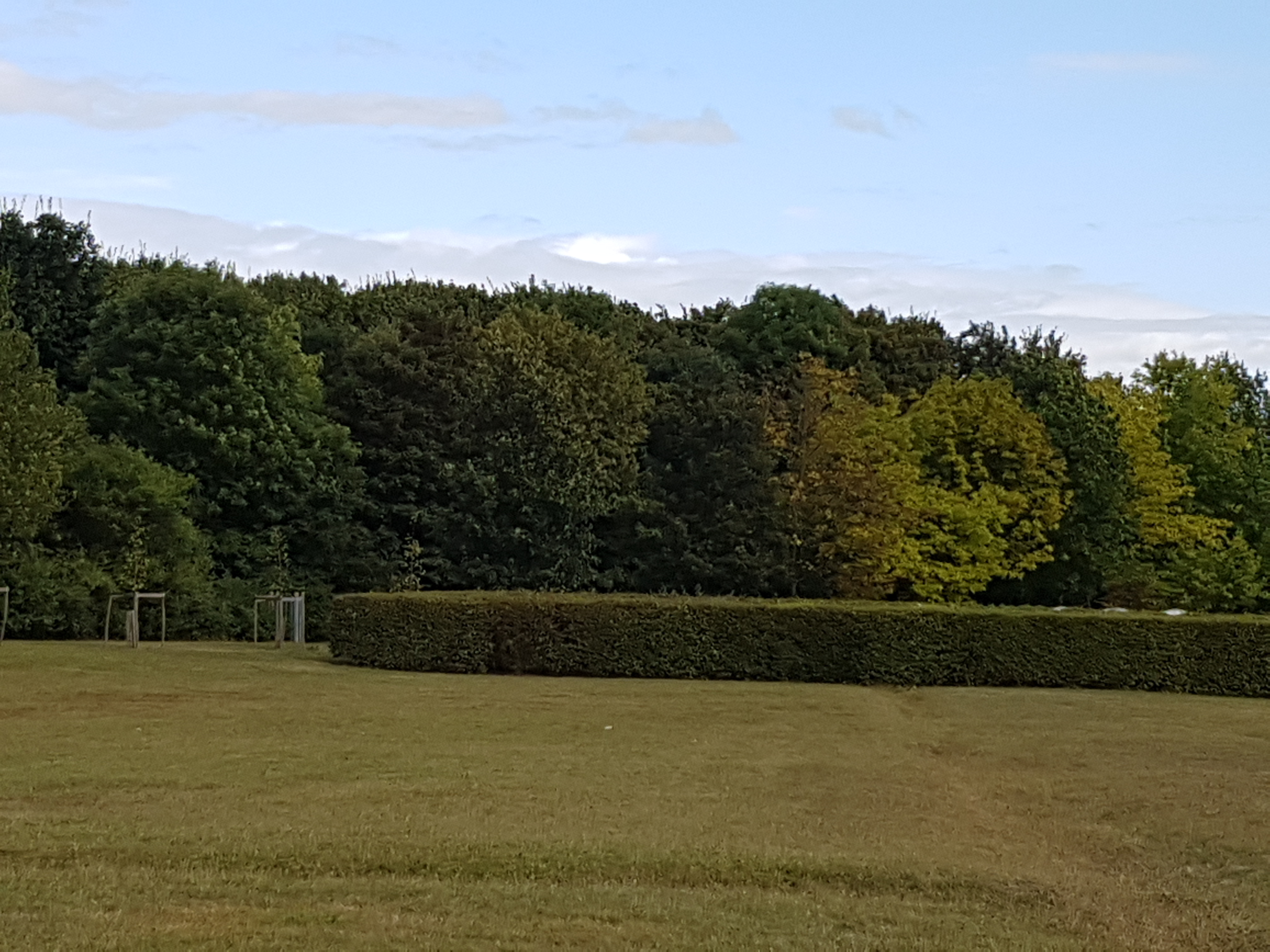 Photo n° 3 de l'avis de Madly.i fait le 13/09/2016 à 11:27