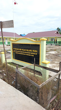 Foto SDN  008 Pulau Halang Muka, Kabupaten Rokan Hilir