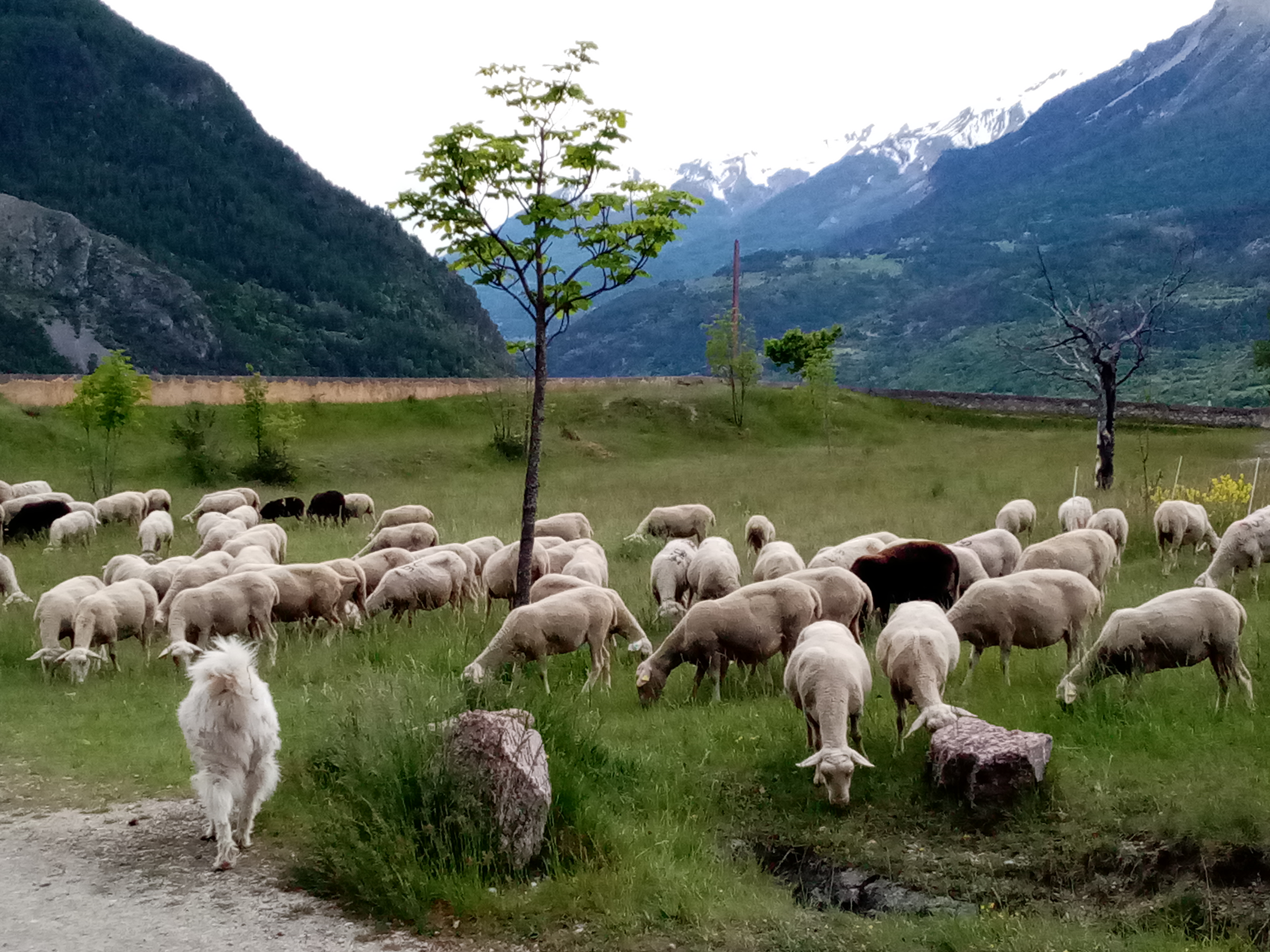 Photo n° 4 de l'avis de François.e fait le 19/05/2023 à 20:57