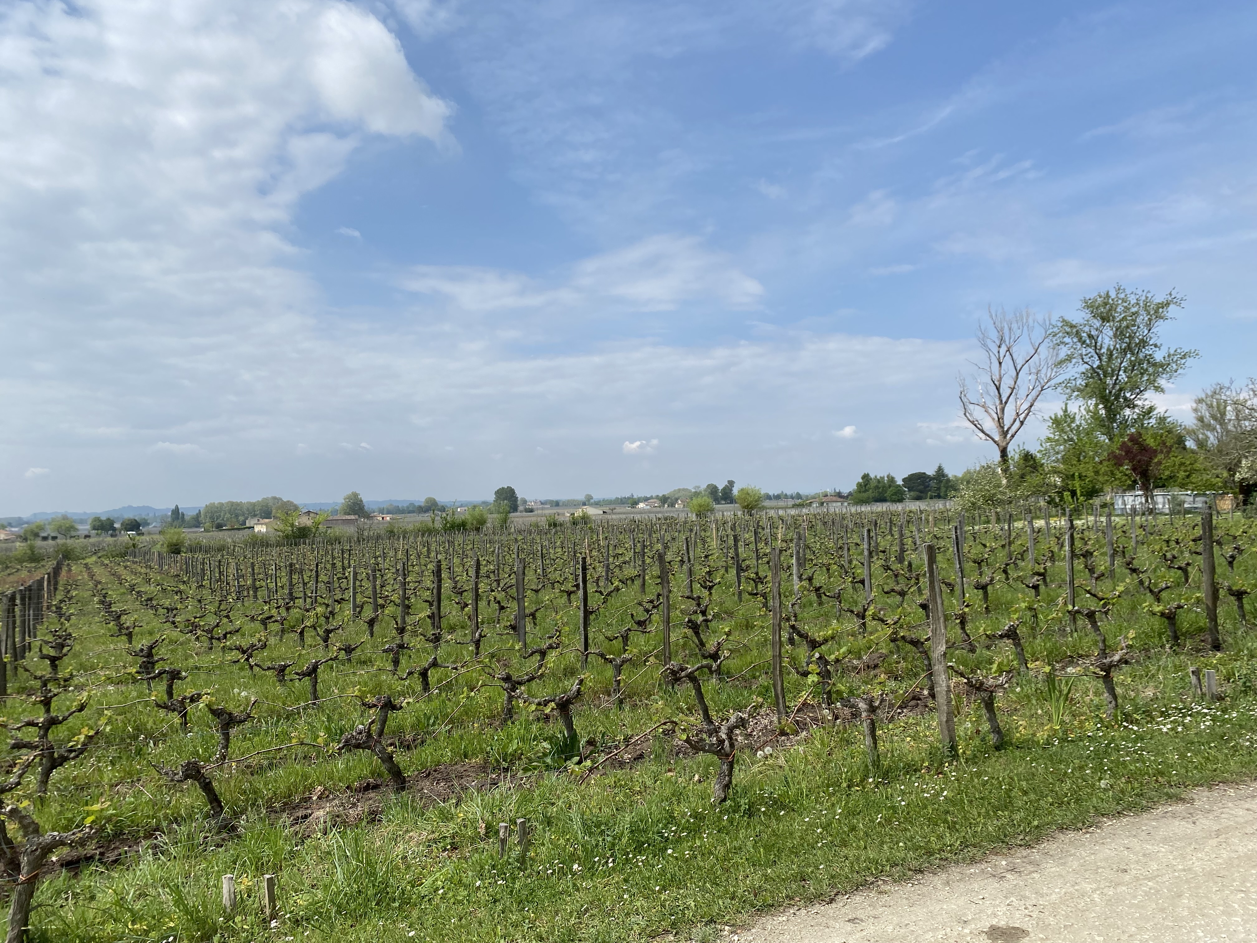 Photo n° 3 de l'avis de andy.a fait le 23/04/2022 à 16:47