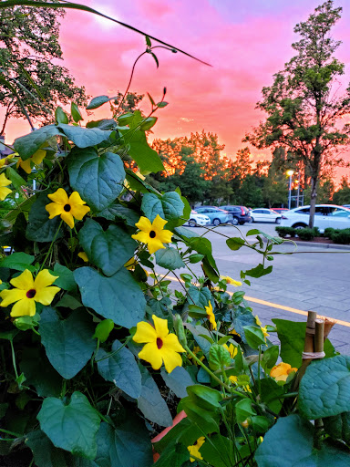 Shopping Mall «Bella Bottega Shopping Center», reviews and photos, 8976 161st Avenue Northeast, Redmond, WA 98052, USA