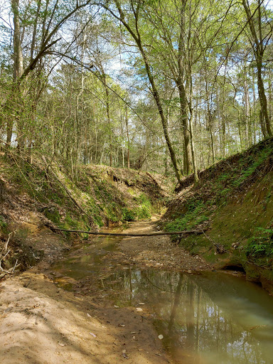 Nature Preserve «MaryAnn Brown Nature Preserve», reviews and photos, 13515 LA-965, St Francisville, LA 70775, USA