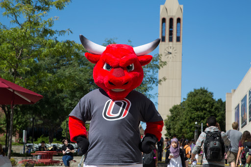 Book Store «UNO Bookstore», reviews and photos, 6001 Dodge St, Omaha, NE 68182, USA