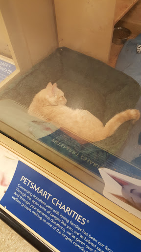 Pet Supply Store «PetSmart», reviews and photos, 6622 Charlotte Pike Suite 108, Nashville, TN 37209, USA