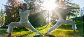 Cours de Yoga - Borex - Nyon - Genève