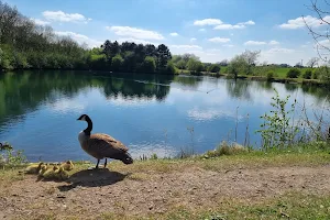 Hermitage Fishing Lake & Recreation Ground image