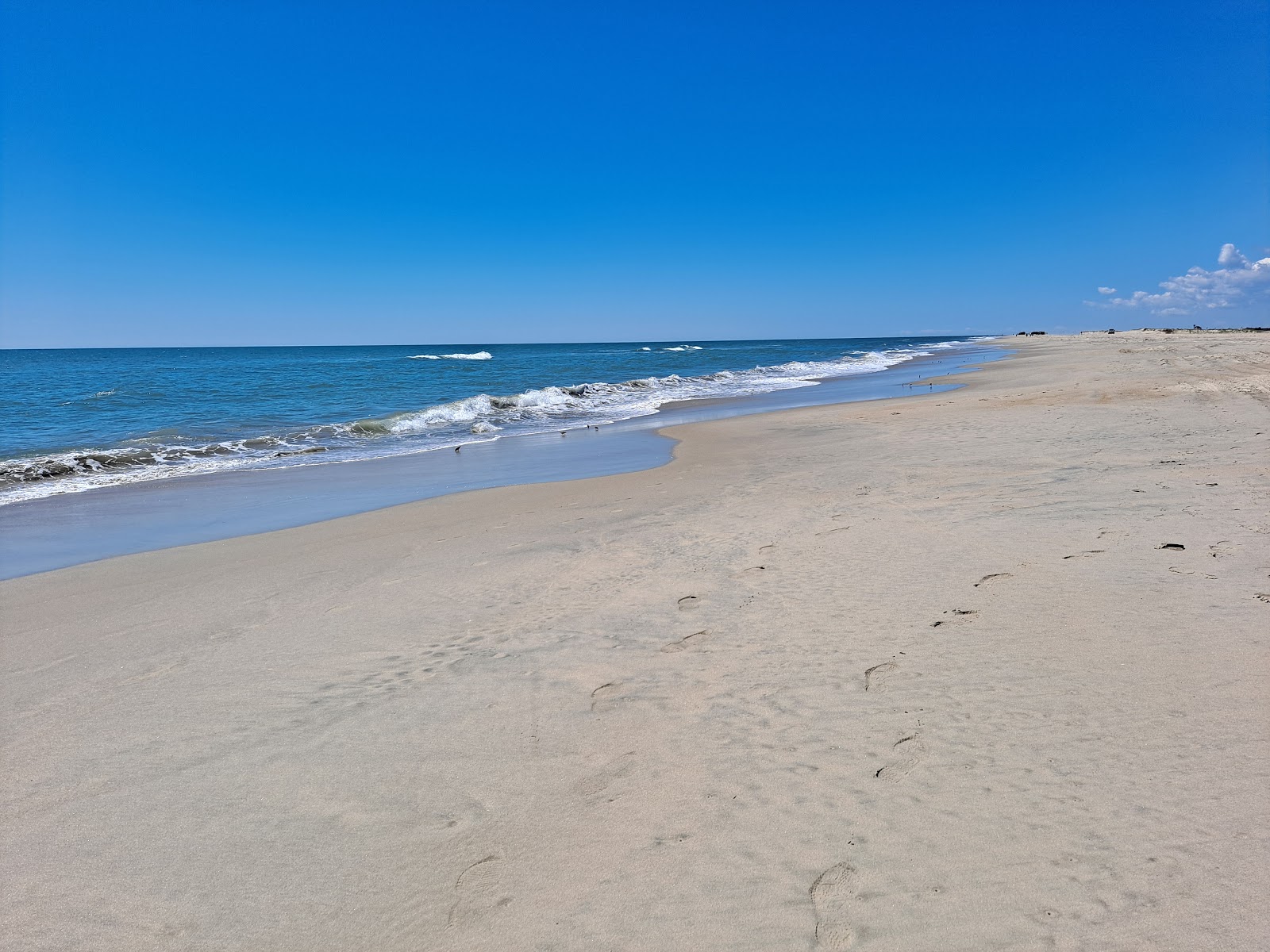 Fotografie cu Plaja Assateague cu o suprafață de nisip strălucitor