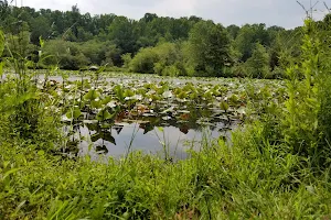 Governor Bridge Natural Area image