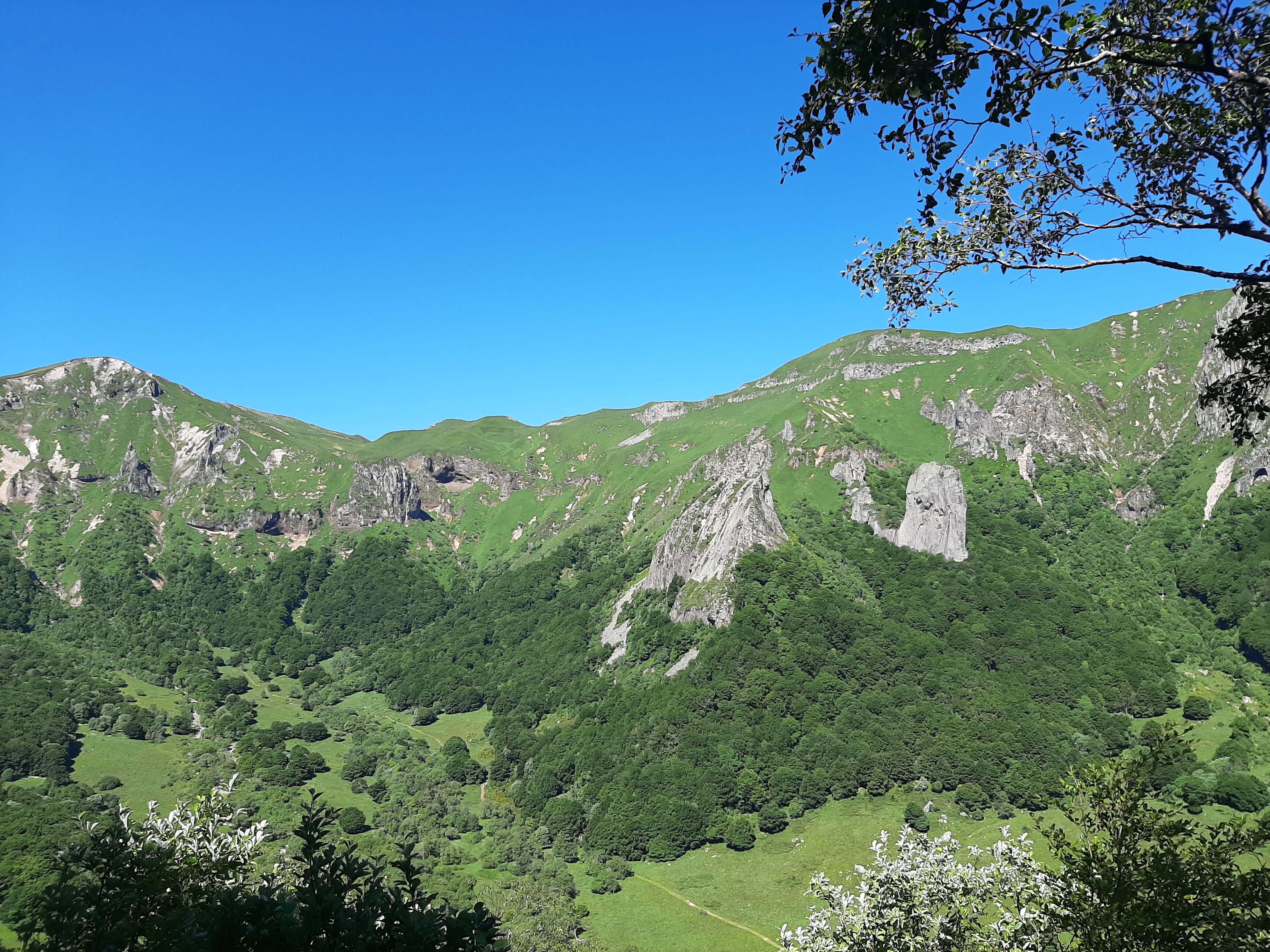 Photo n° 1 de l'avis de appolline37.i fait le 11/06/2022 à 15:58