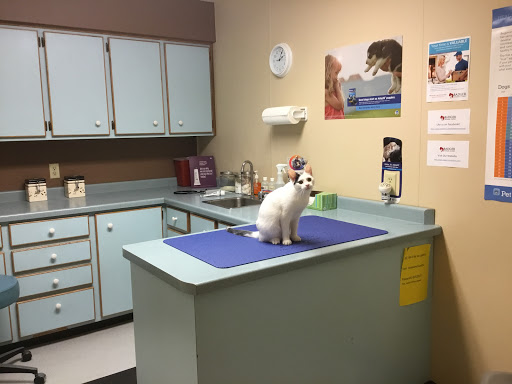 Badger Animal Clinic image