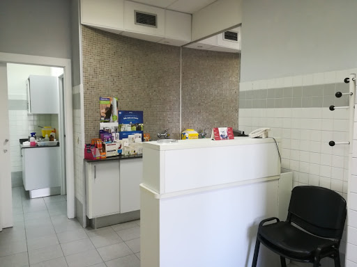 Clínica Veterinaria Las Salinas en Laguna de Duero