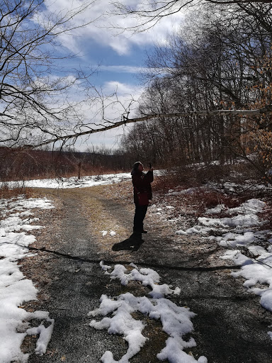 Nature Preserve «Schiff Natural Lands Trust/Schiff Nature Preserve», reviews and photos, 339 Pleasant Valley Rd, Mendham, NJ 07945, USA