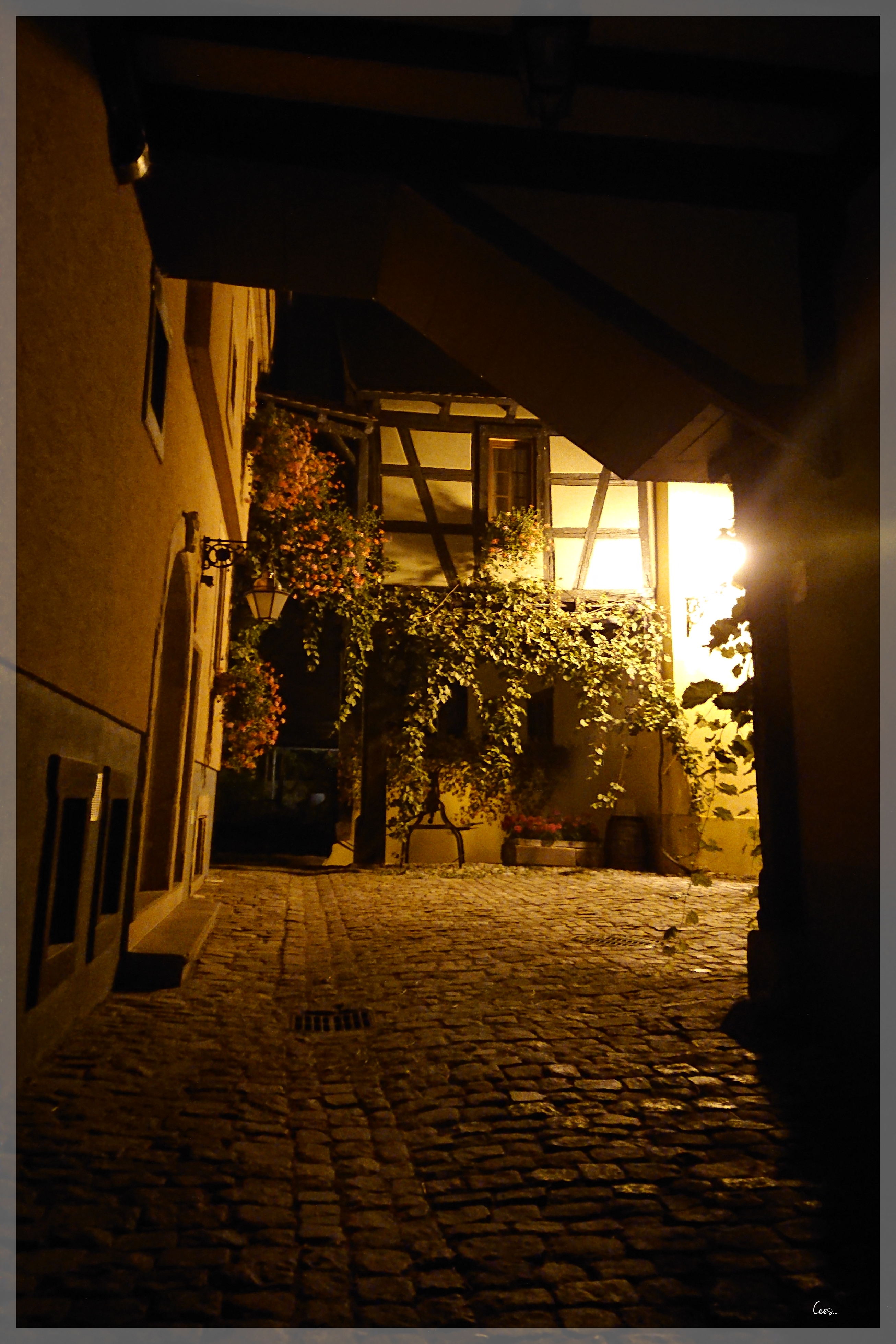 Photo n° 3 de l'avis de Cees.a fait le 31/08/2018 à 19:50