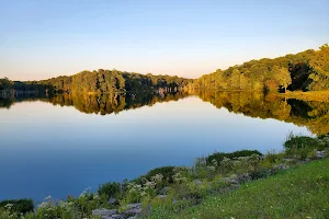 Rush Run Wildlife Area image