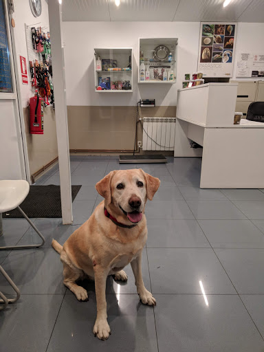 Ánade Clínica Veterinaria en Pozuelo de Alarcón