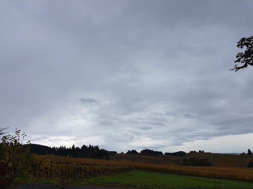 Winery «Erath Winery», reviews and photos, 9409 Northeast Worden Hill Road, Dundee, OR 97115, USA