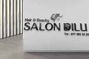 Hair & Beauty Salon Dilu image