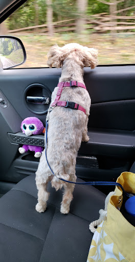 Pet Supply Store «PetSmart», reviews and photos, 5241 Monroe St, Toledo, OH 43623, USA