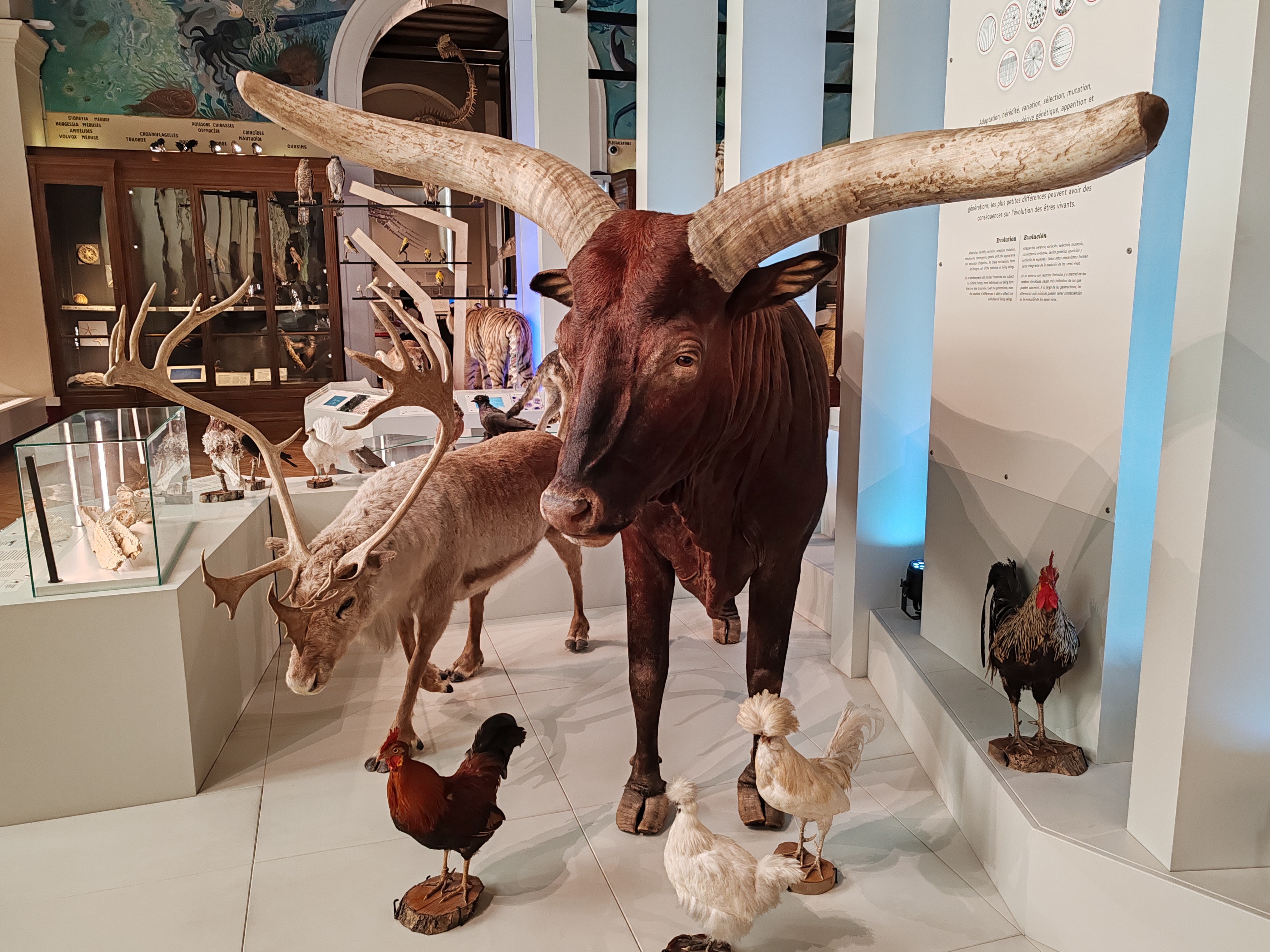 Photo n° 2 de l'avis de Alain.I fait le 25/02/2024 à 11:02