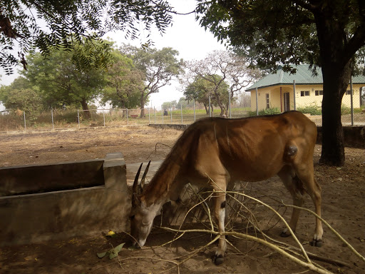 Botanical Garden, University Rd, Nigeria, Zoo, state Oyo