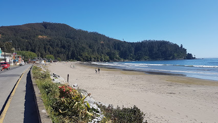 Playa Colcura