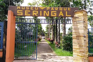 Parque Seringal image