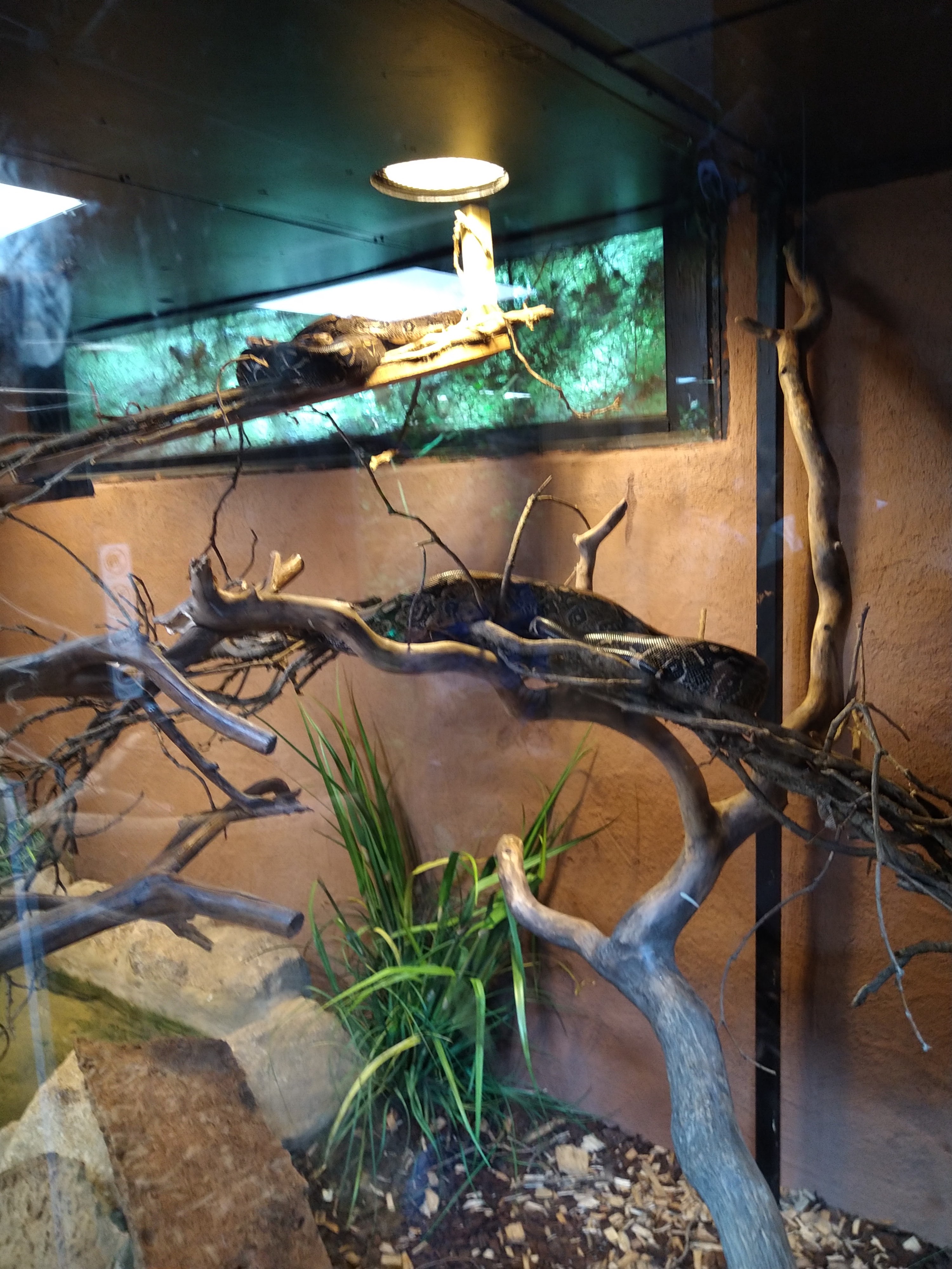 Photo n° 24 de l'avis de HardLoSeDa. fait le 15/08/2019 à 14:36