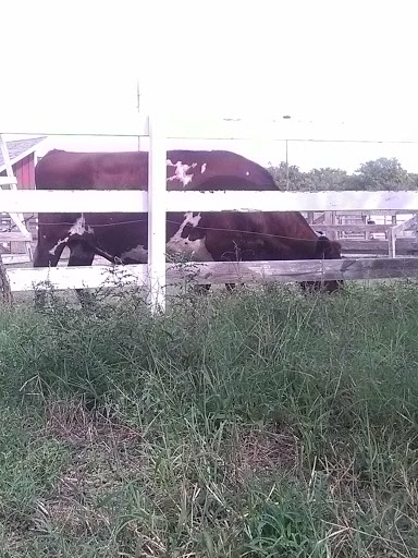 Athletic Field «Westside Athletic Field», reviews and photos, 571 N McLean Blvd, Wichita, KS 67203, USA