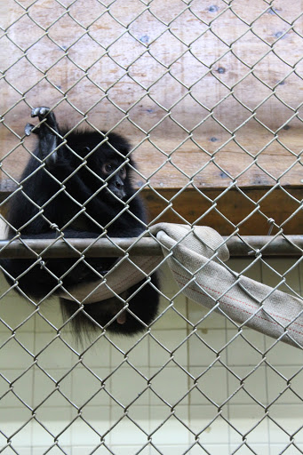 Zoo «Utica Zoo», reviews and photos, 1 Utica Zoo Way, Utica, NY 13501, USA