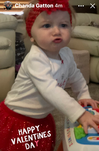 Insurance Agency «Chanda Gatton Agency», reviews and photos