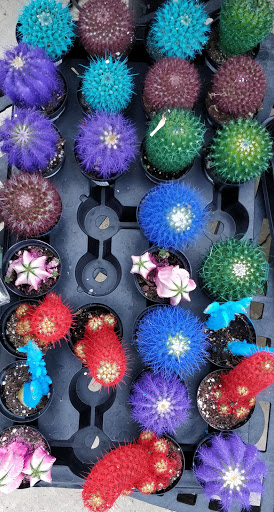 Discount Supermarket «Walmart Central», reviews and photos, 1012 Riley St, Folsom, CA 95630, USA