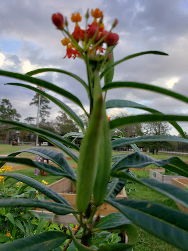 Park «Dennis Johnston Park», reviews and photos, 709 Riley Fuzzel Rd, Spring, TX 77373, USA