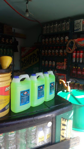 Cambio de aceites pepes