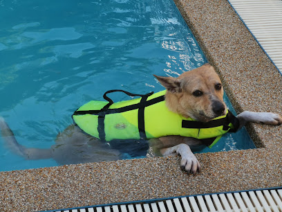 สระว่ายน้ำสุนัข สระ-บาย-ใจ