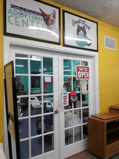 Thrift Store «Boomerangs Thrift Store», reviews and photos, 2365 Wilton Dr, Wilton Manors, FL 33305, USA