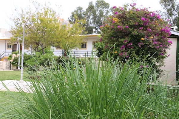 Jardinería Costa Verde