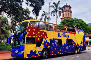 Turibus Colombia image