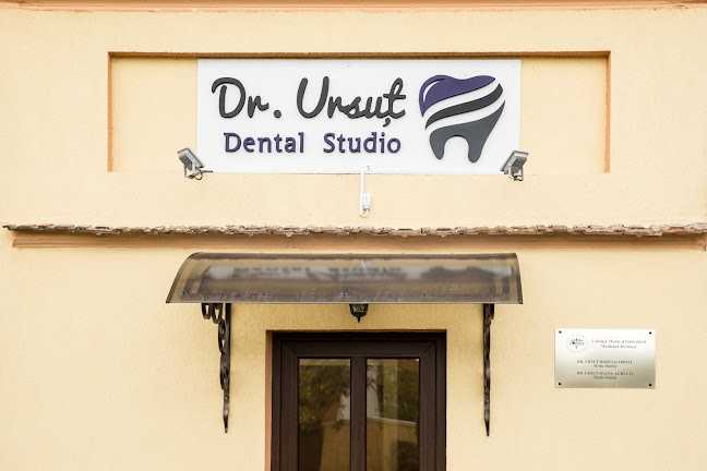 Opinii despre Dr. Ursut Dental Studio în <nil> - Dentist