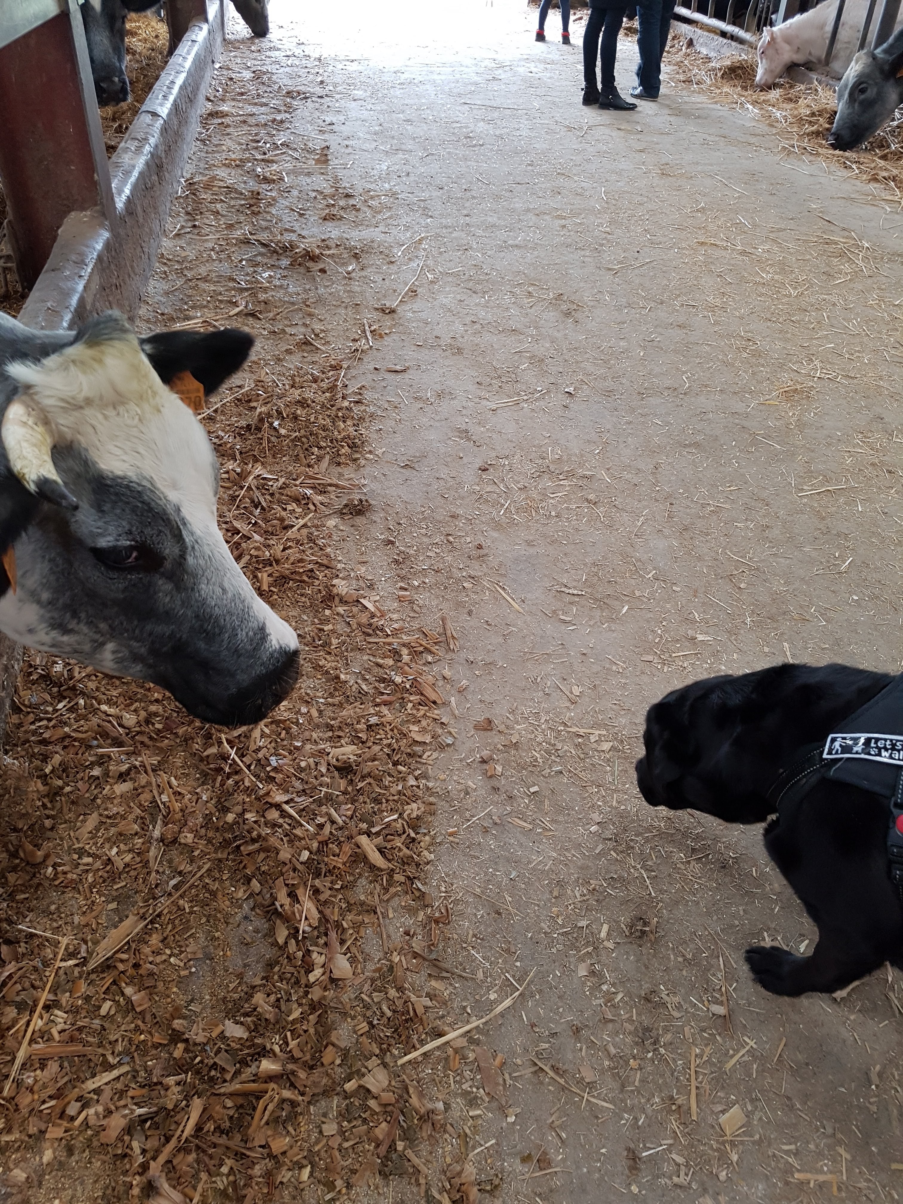 Photo n° 9 de l'avis de Alicia.P fait le 28/04/2019 à 13:27