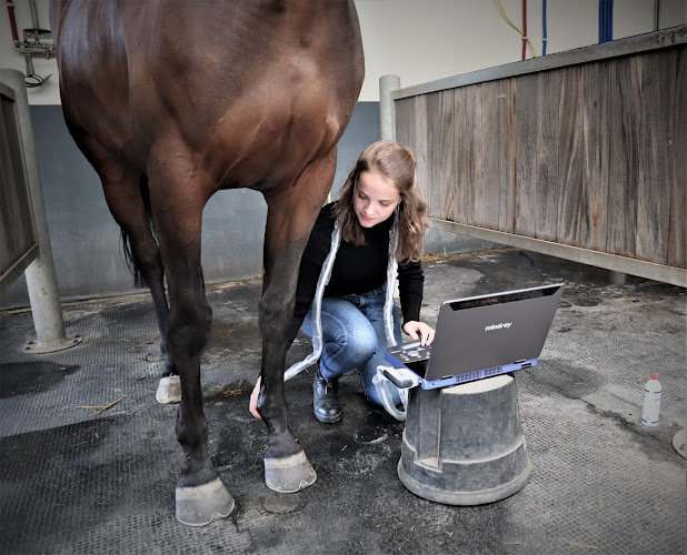 Reacties en beoordelingen van Katleen Merckx | Paardenarts - Vétérinaire Equin