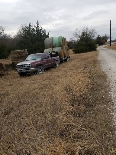 Franky's hay & cattle