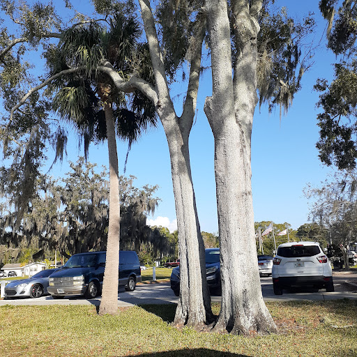 Memorial Park «Veterans Memorial Park», reviews and photos, 250 Shore Dr E, Oldsmar, FL 34677, USA