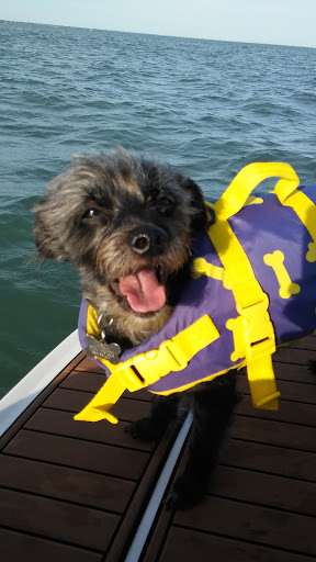 Marina «MacRay Harbor», reviews and photos, 30675 N River Rd, Harrison Charter Township, MI 48045, USA