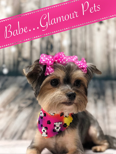 Pet Groomer «Glamour Pet Shop & Grooming», reviews and photos, 11401 Elam Rd, Balch Springs, TX 75180, USA