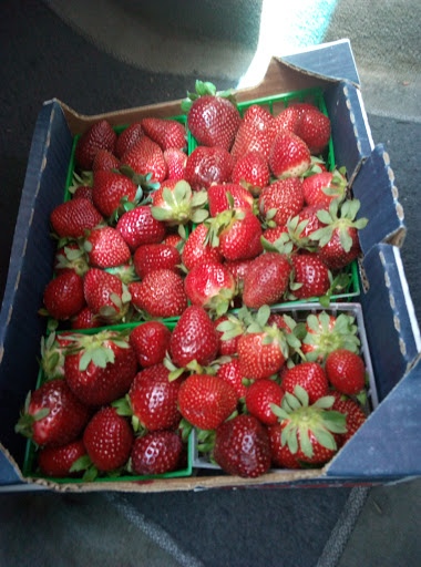 Produce Market «Jams Produce», reviews and photos, 1451 Clearwater Largo Rd N, Largo, FL 33770, USA