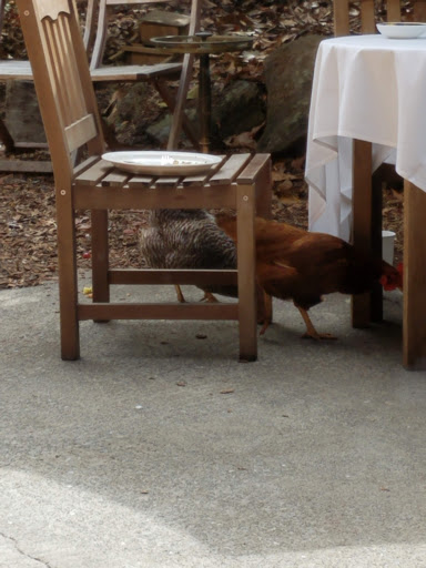 Fine Dining Restaurant «Sonoma Wine Shop / La Bodega Kitchen», reviews and photos, 2295 Gravenstein Hwy S, Sebastopol, CA 95472, USA