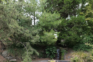 Bushy Beach Scenic Reserve